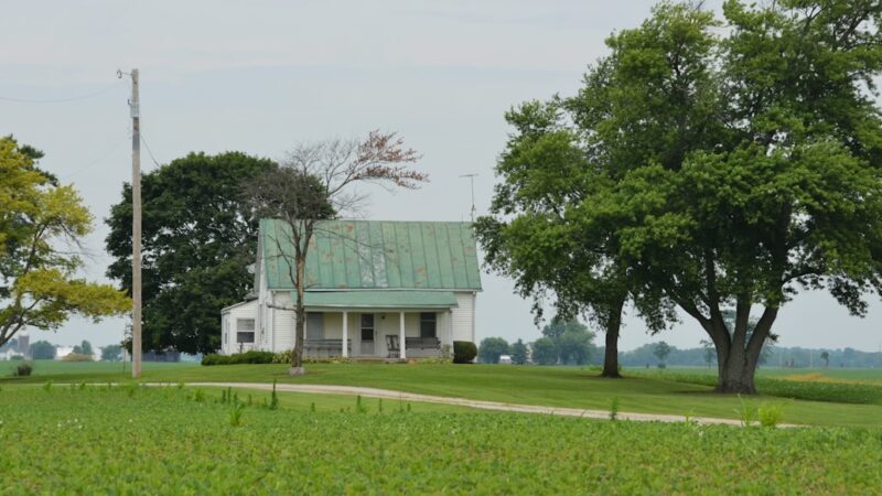 Photo rural banking
