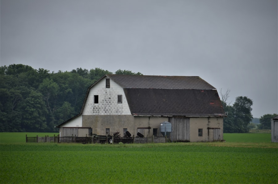 Photo rural banking